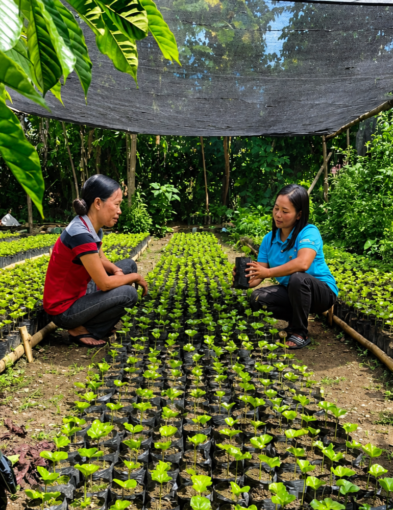 Sultan Kudarat Natural